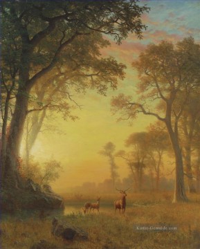 Gehölz Werke - LICHT IM FOREST Amerikanische Albert Bierstadt Bäume Landschaft